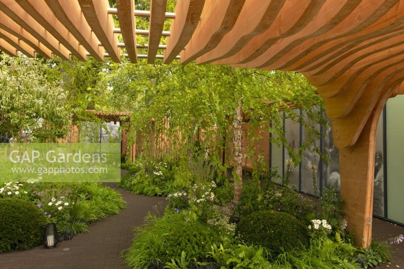 A modern wooden pergola leading to an ornamental garden filled with late flowering perennials, shrubs and trees in The Florence Nightingale Garden.