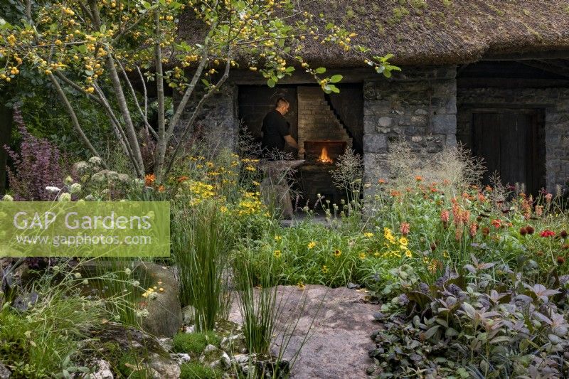View of old forge with blacksmith working metal in the forge fire. Thatched hut with stone walls. Planting in front includes  Crab-apple Malus 'Wintergold', foliage of Lysimachia ciliata 'Firecracker' and Plantago major 'Purpurea', rudbeckia, echinacea, coneflower, kniphofia, Helenium 'September Gold'. Blue Diamond Forge Garden.