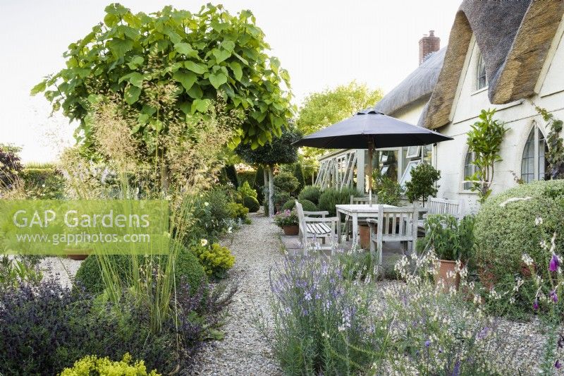 Gravel garden in July with self seeded toadflaxes outside a thatched cottage