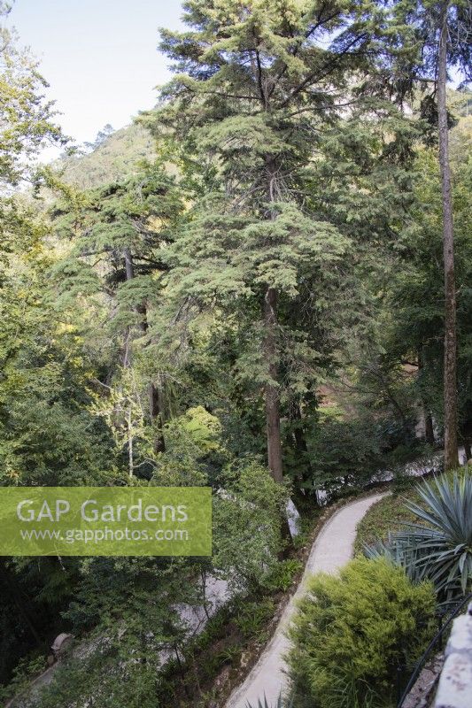 Paths in the woodland garden. Sintra, near Lisbon, Portugal, September.