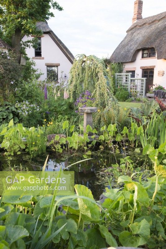 View of a garden pond with thatched cottages beyond