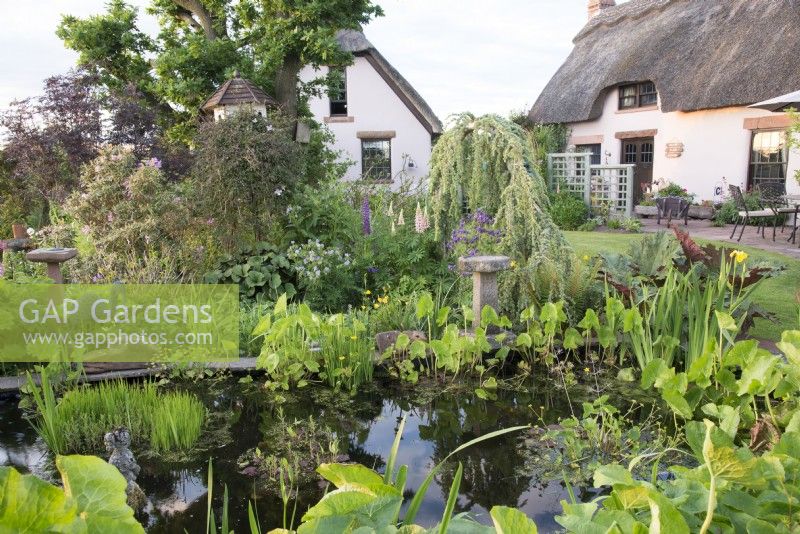 View of a garden pond with thatched buildings beyond