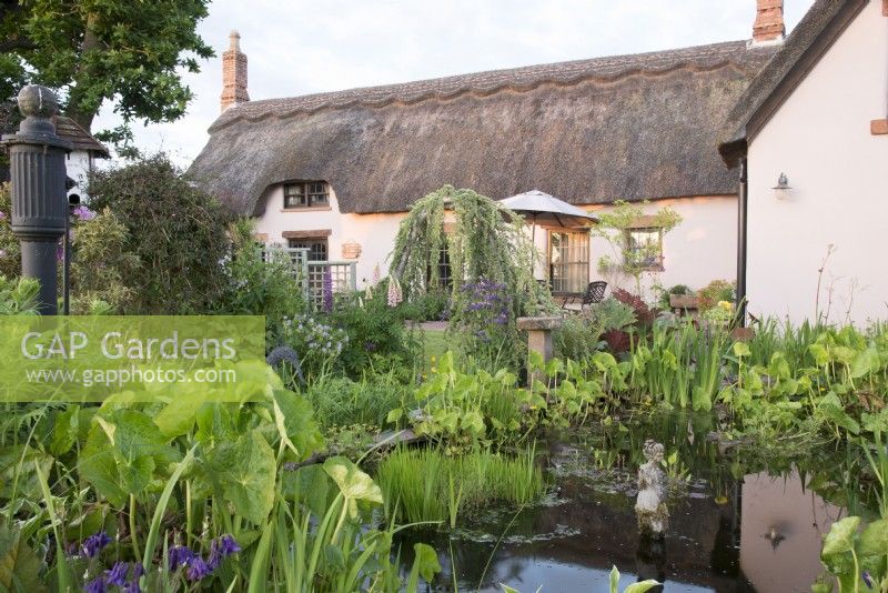 View of the garden with pond in foreground backed by thatched house