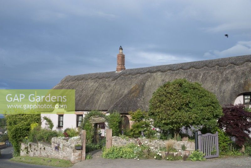 View of thatched cottage and front garden