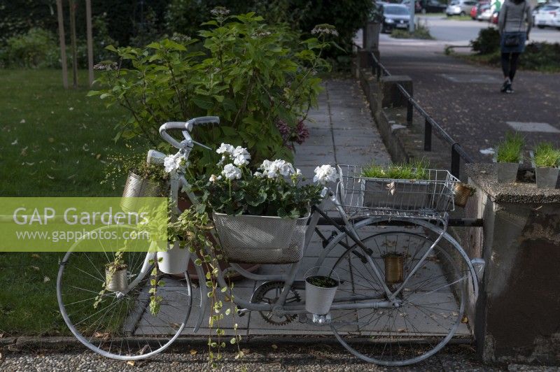 Garden feature - old bicycle frame adorned with ivy and geranium and flower pots made from tin cans.  Karlsruhe - Germany