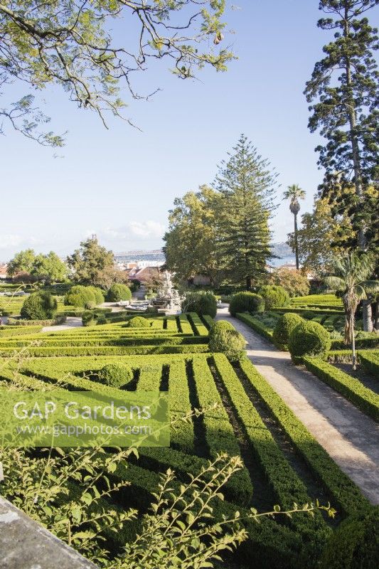 View over the formal parterre of lines of clipped Box hedges. Lisbon, Portugal, September.