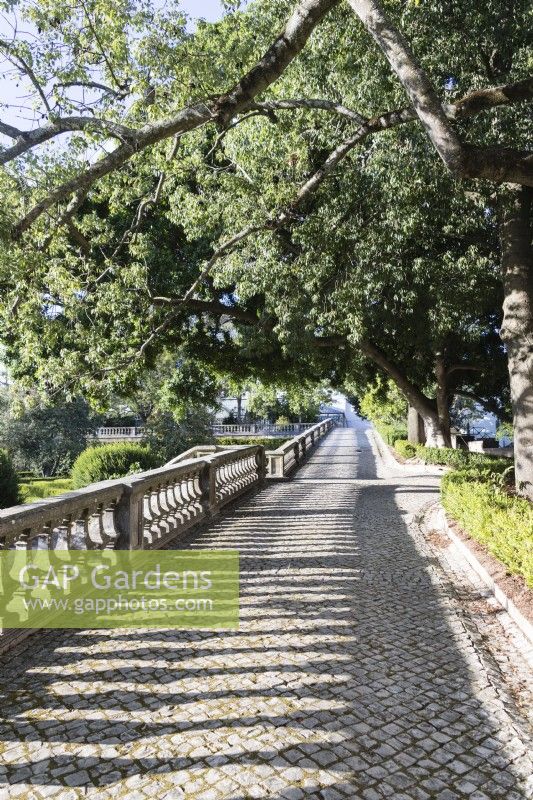 Cobbled walkway of the upper terrace with stone balustrade shaded with trees. Lisbon, Portugal, September.