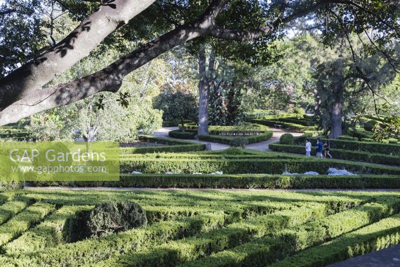 View over the formal parterre of lines of clipped Box hedges and mounds separated by grit paths. Visitors walking in the garden.  Lisbon, Portugal, September.