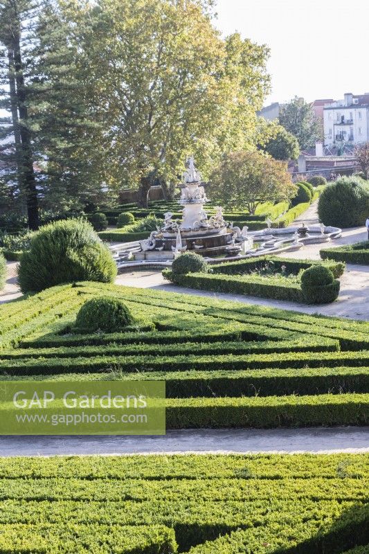 View over the formal parterre of lines of clipped Box hedges and mounds separated by grit paths. Fountain in centre.  Lisbon, Portugal, September.