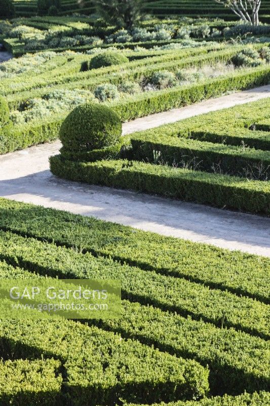 View over the Box Parterre of lines of clipped hedges separated by dirt paths.  Lisbon, Portugal, September.