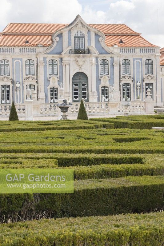 View to palace buildings across the Malta Garden. Low hedges of clipped box with statuary. Queluz, Lisbon, Portugal, September. 