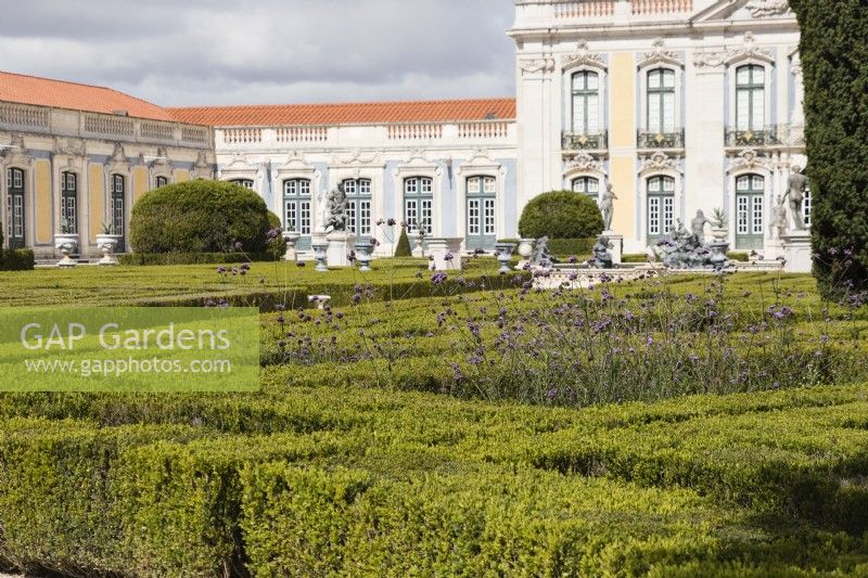 View to palace buildings across the Malta Garden. Low hedges of clipped box. Queluz, Lisbon, Portugal, September. 