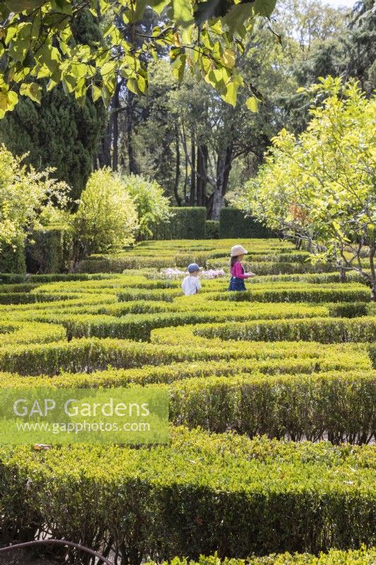 View over the Old Labyrinth Garden with two young children. Low hedges of clipped Box with planting of pomegranate fruit tees in beds within hedges. Queluz, Lisbon, Portugal, September. 