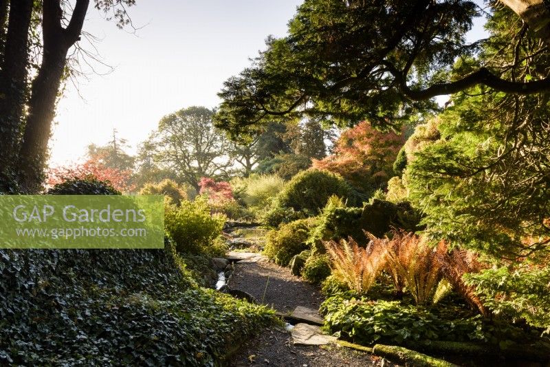 Path through the rock garden passing ferns, at Hergest Croft Gardens, Herefordshire in October