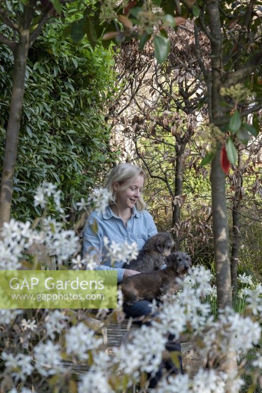 Women sitting in the garden with dogs on her lap.  She is surrounded by Amelanchier 'lamarckii', Trachelospermum jasminoides, Photinias and a beech hedge, Fagus sylvatica.