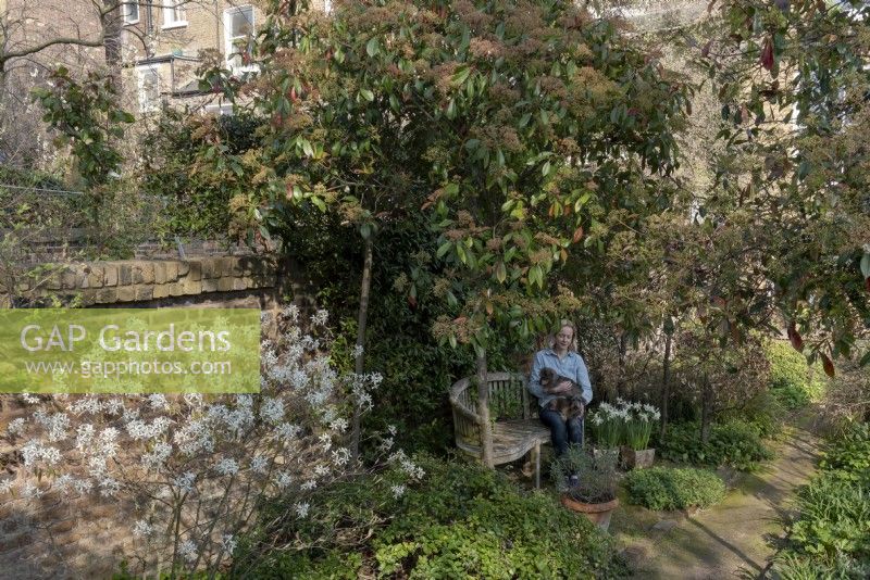 Woman sitting in the garden with dogs other lap.  She is surrounded by Amelanchier 'lamarckii', Trachelospermum jasminoides, Photinias and a beech hedge, Fagus sylvatica.
