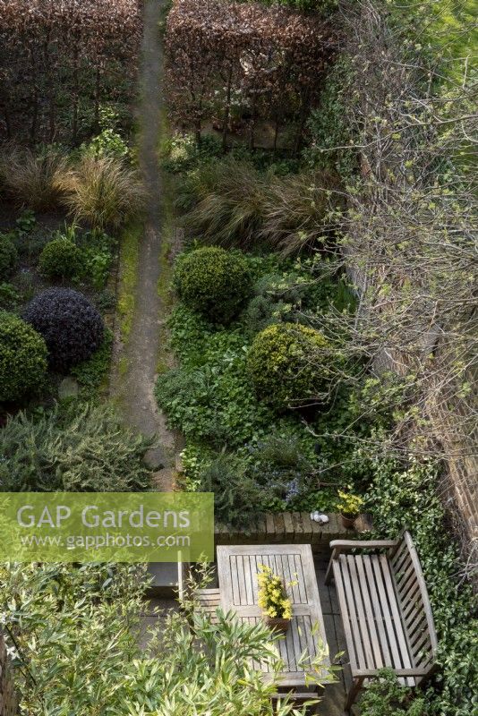Looking down into the narrow garden at Loftus Road, onto the terrace by the house. Plants include: Buxus sempervirens, Pittosporum 'Tom Thumb', Anemanthele lessoniana and Fagus sylvatica.
