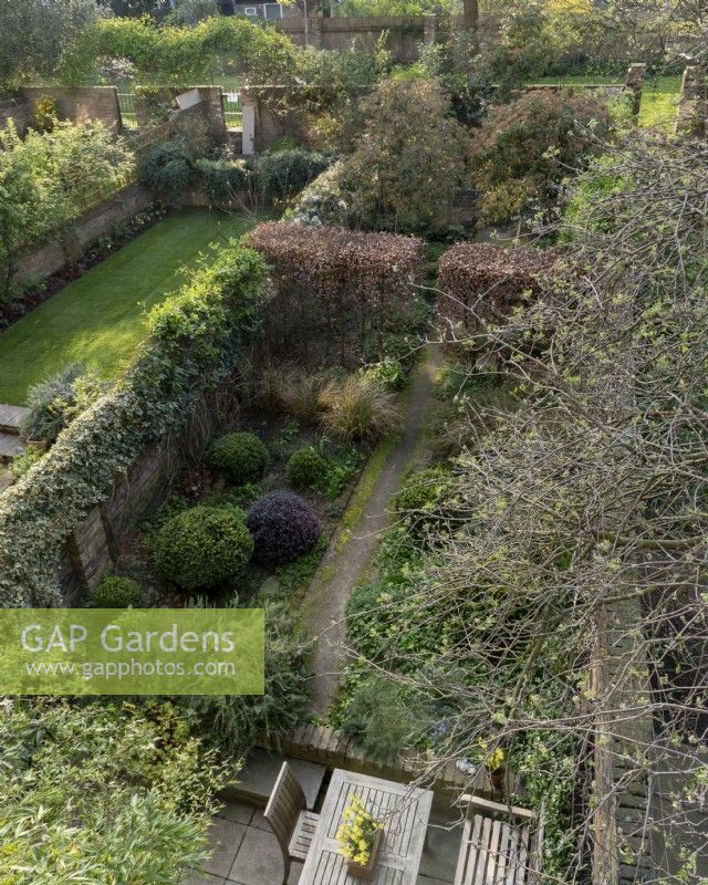 Looking across the narrow city gardens. Plants include:  Rosmarinus officinalis prostratus, Buxus sempervirens, Pittosporum 'Tom Thumb', Anemanthele lessoniana and Fagus sylvatica