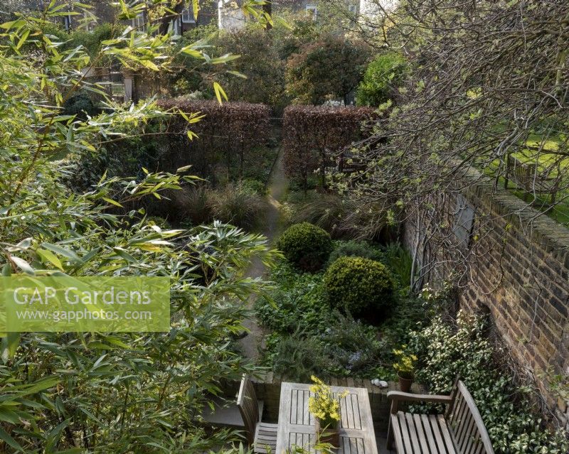An overview of the walled garden at 49 Loftus Road, London. Buxus sempervirens spheres and the Fagus sylvatica add structure and ornamental grasses including; Anemanthele lessoniana soften the path edges. 