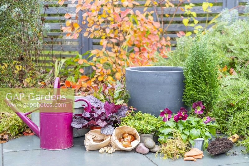 Watering can, large container, bulbs, plants, moss, stones, crockery, and a compost scoop laid out on the ground