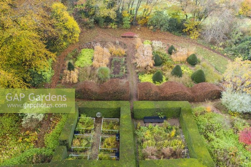 View over mature clipped hedges of Yew containing three distinct garden rooms. Wave form hedge of Beech. Area planted with ornamental grasses in blocks with several clipped Yews in cone form; image taken with drone. November. Autumn.