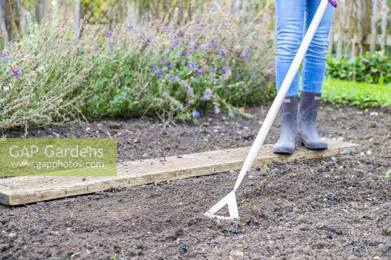 Woman using a hoe to pull weeds up from plant bed