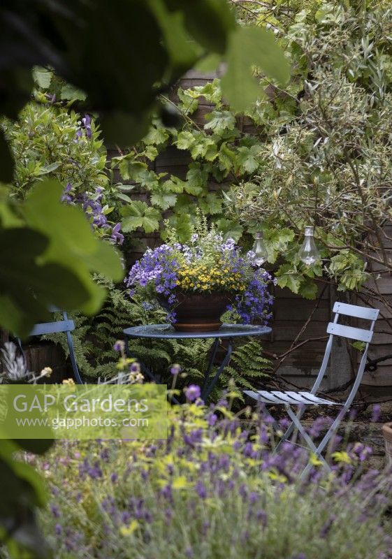 Small metal table with chairs and decorative shallow planted pot with Sanvitalia, trailing Petunias and Lobelia