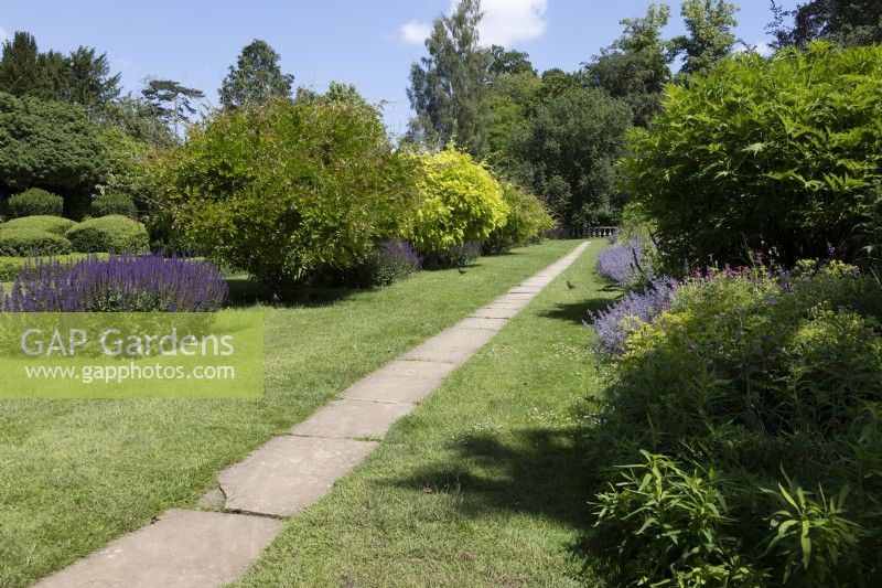 Straight pathway in lawn composed of rectangular slabs