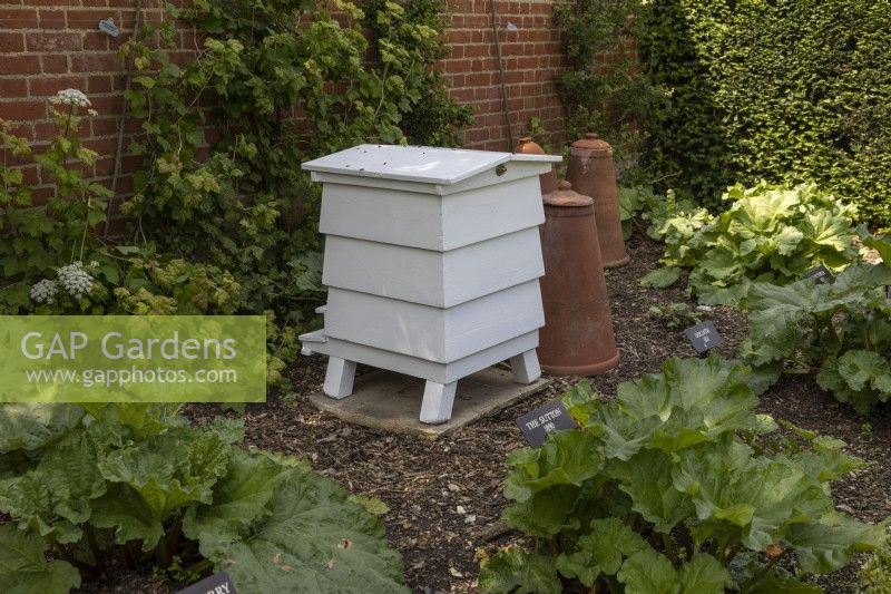 Beehive set in rhubarb patch, shaded corner of a walled garden