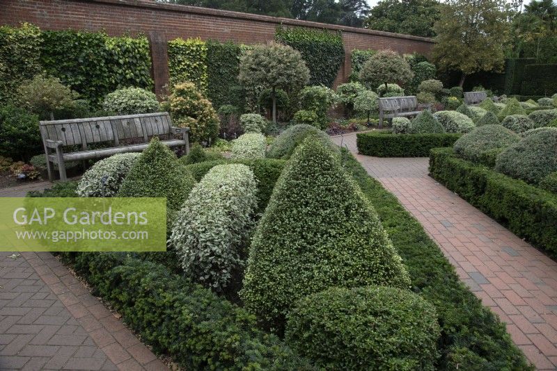 Walled Garden at RHS Garden Wisley demonstrating alternatives to using Box and to using Pittosporum Collaig Silver and Arundel Green along with Taxus baccata