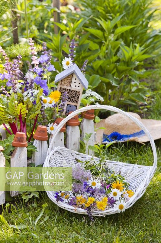 Basket with picked wildflowers in wildlife friendly garden.
