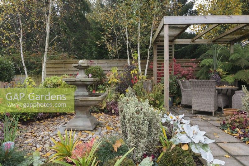 Autumn garden with wicker table and chairs under wooden pergola with square tiered stone fountain - October