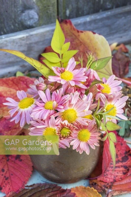 Small posy of peach Chrysanthemums and jasmine foliage in copper vase