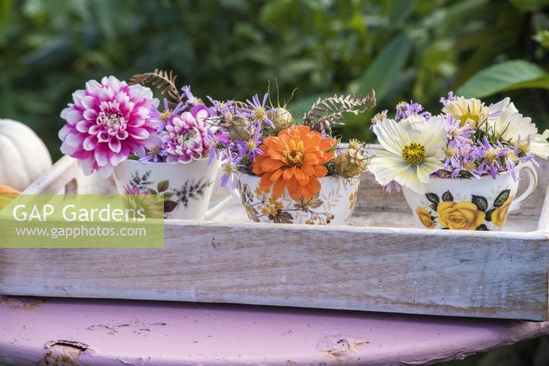 Posies of mixed flowers in teacups on white tray - Dahlias, Asters, Cosmos and Nigella seedpods