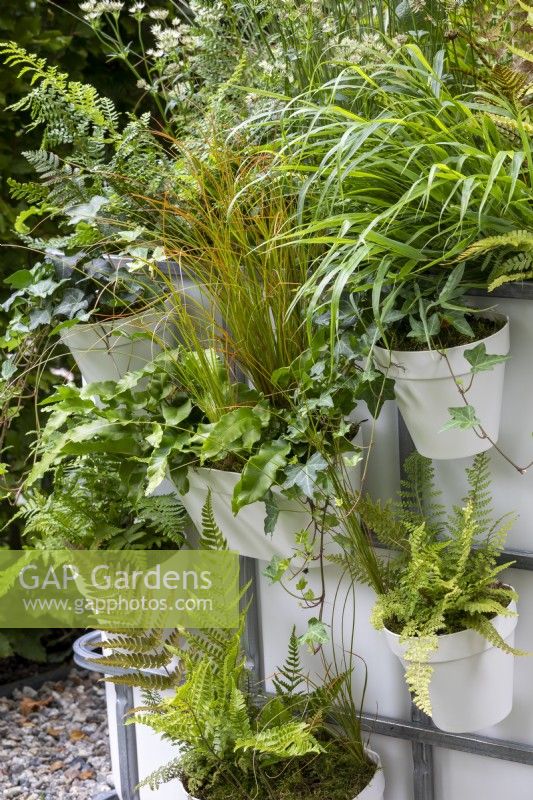 Hanging containers of ferns and grasses in small courtyard garden, RHS Chelsea Flower Show 2021, IBC Pocket Forest