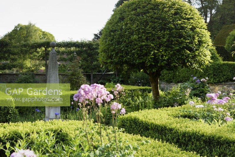 Formal courtyard garden with box hedges, clipped Portuguese laurels, Prunus lusitanica, and purple thalictrum around a central obelisk at the Old Rectory, Netherbury, Dorset in May