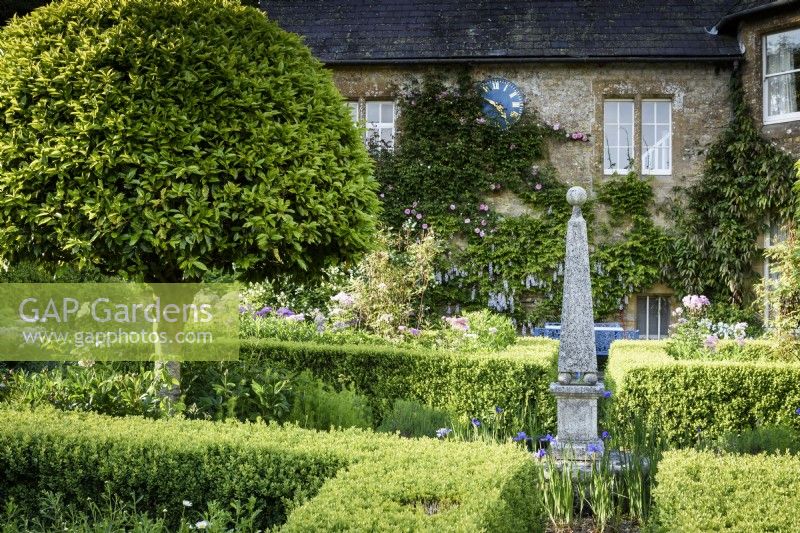 Formal courtyard garden with box hedges and clipped Portuguese laurels, Prunus lusitanica, around a central obelisk at the Old Rectory, Netherbury, Dorset in May