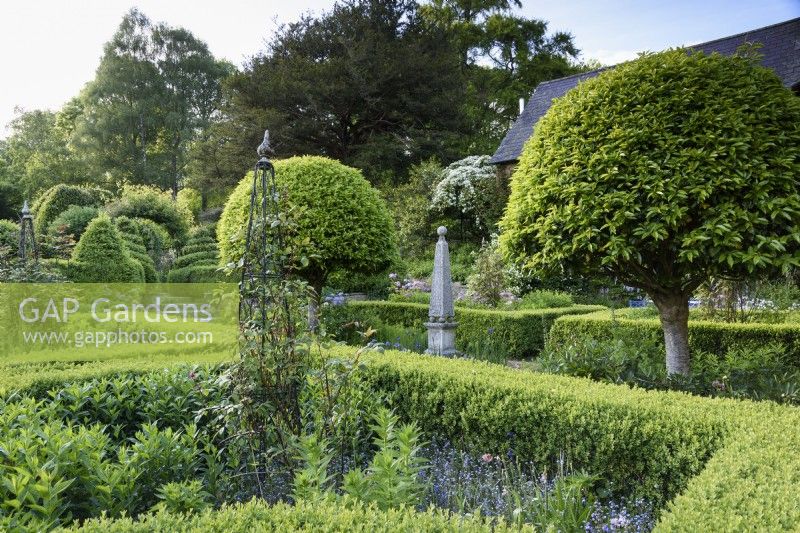 Formal garden with box hedges, clipped Portuguese laurels, Prunus lusitanica, and stone and metal obelisks at the Old Rectory, Netherbury, Dorset in May