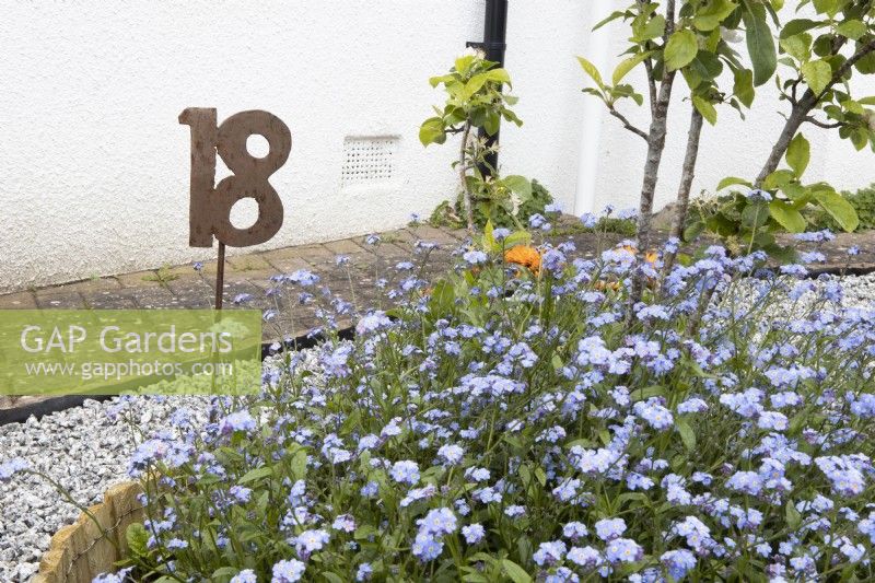 A wooden half barrel is planted with forget-me-nots and a hand made metal house number stake sits in the planter. Summer. June.