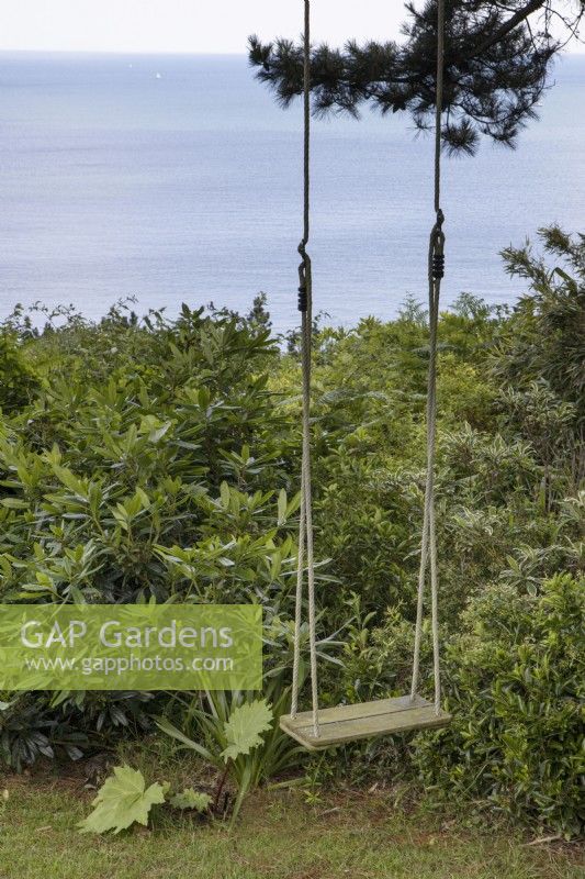 A swing, from a  tree, with a view over the sea Woodland Avenue Garden. Coastal garden. NGS garden. July. Summer. 