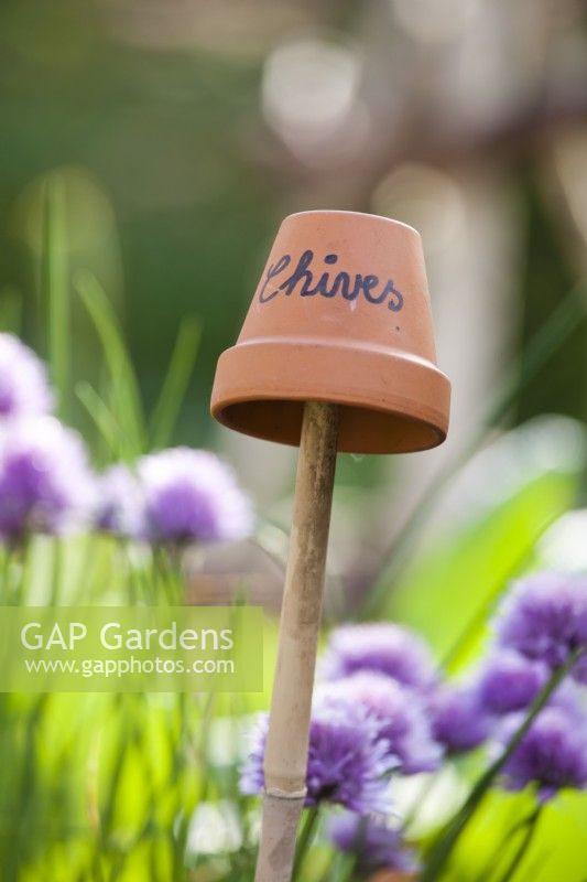 Chives clay pot label.