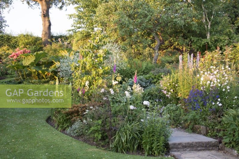 View of summer flowering borders in a cottage garden - June