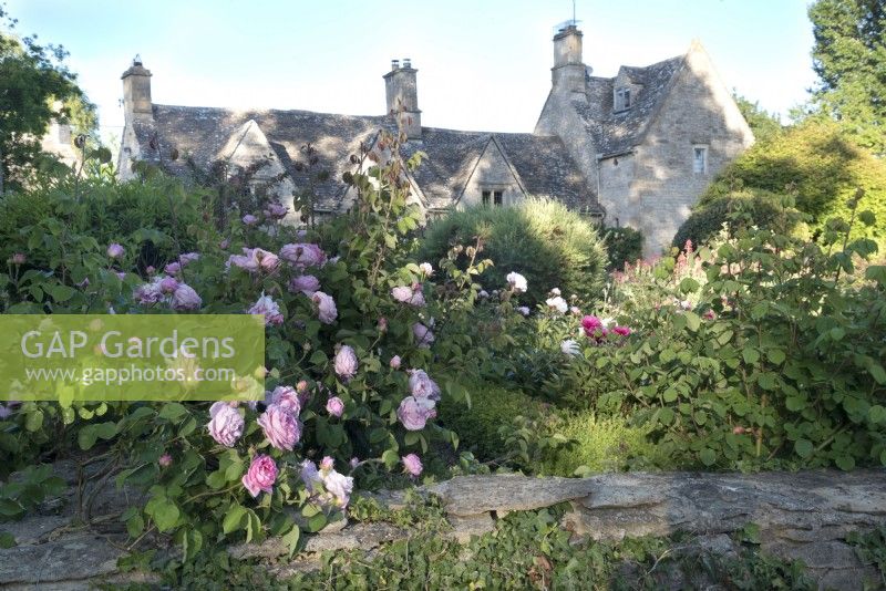 Cotswold Manor rose and peony garden