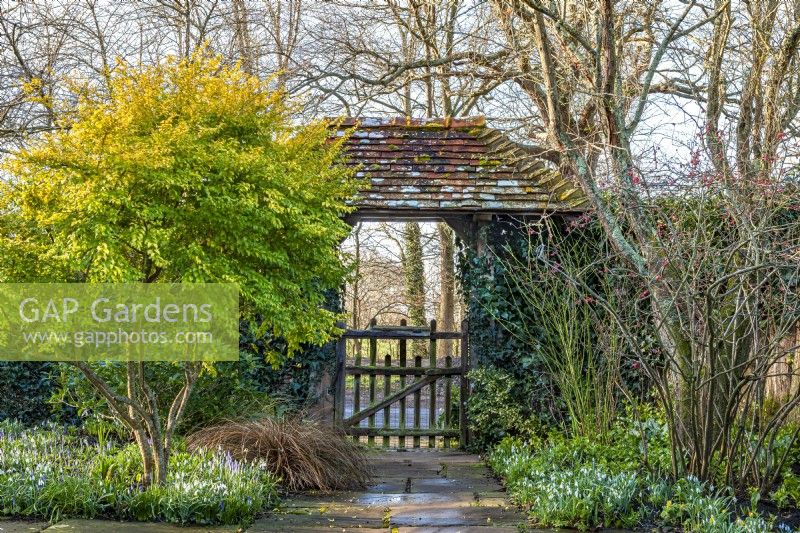 View through a lych gate garden entrance in early Spring - February