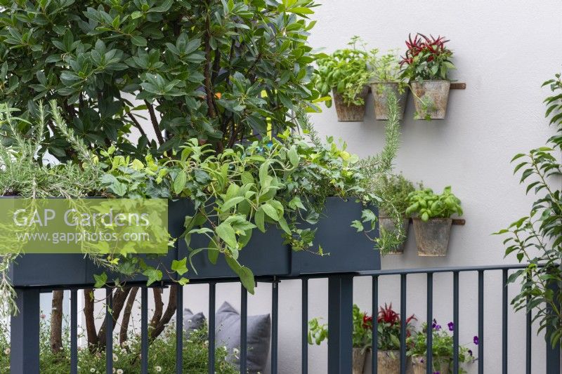 Along the railings of a balcony garden are herb planters filled with rosemary, ivy and sage.