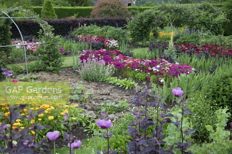 Vegetable garden with Dianthus and Calendula at Goldstone Hall Hotel, Shropshire - June