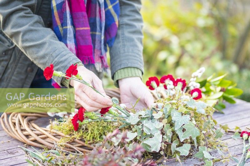 Woman placing carnations at the base of the wreath
