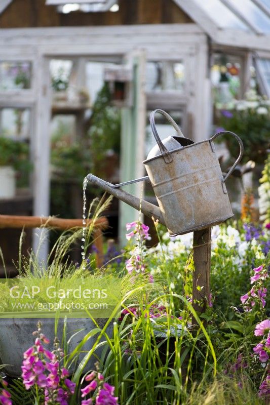 Old galvanised watering can used as a water feature. Down Memory Lane, Designer: The Blue Diamond Design Team, RHS Hampton Court Palace Garden Festival Show, July 2021