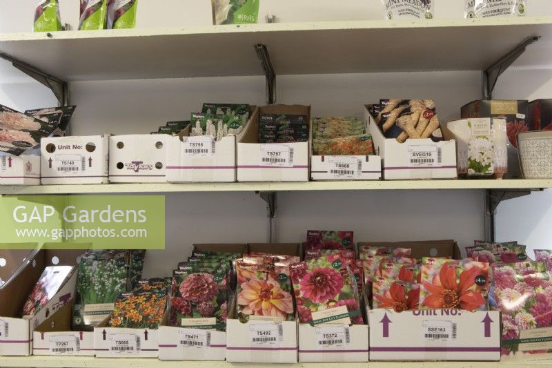 Various boxes on shelves in a small nursery shop with packets of dahlia tubers of various varieties, narcissi, lily of the valley and other flower bulb and tubers for sale. Spring. 