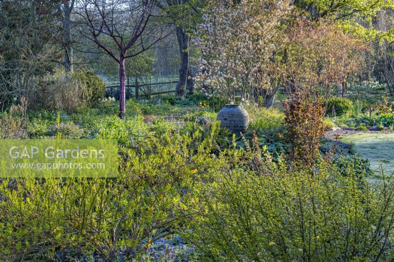 View of informal country cottage garden borders with young foliage of deciduous shrubs in Spring - April